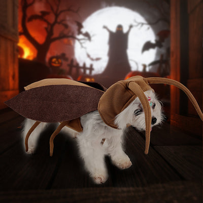 Pet transformation costume Halloween funny dog cockroach