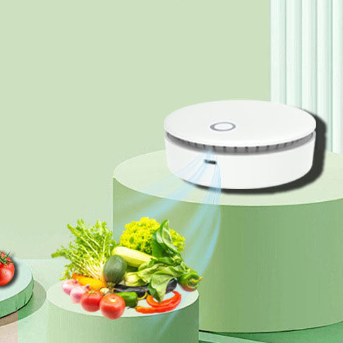 Refrigerator wardrobe shoe cabinet toilet portable pet cat bed powerful ozone disinfection machine - GG store