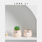 Small ceramic succulent pot by Cavira, decorative mini plant container for cacti, succulents, and air plants on desks or shelves.