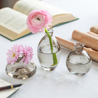 Set of three Cavira colour-dipped glass vases with light luxury spray paint, perfect for home decor and gifting.
