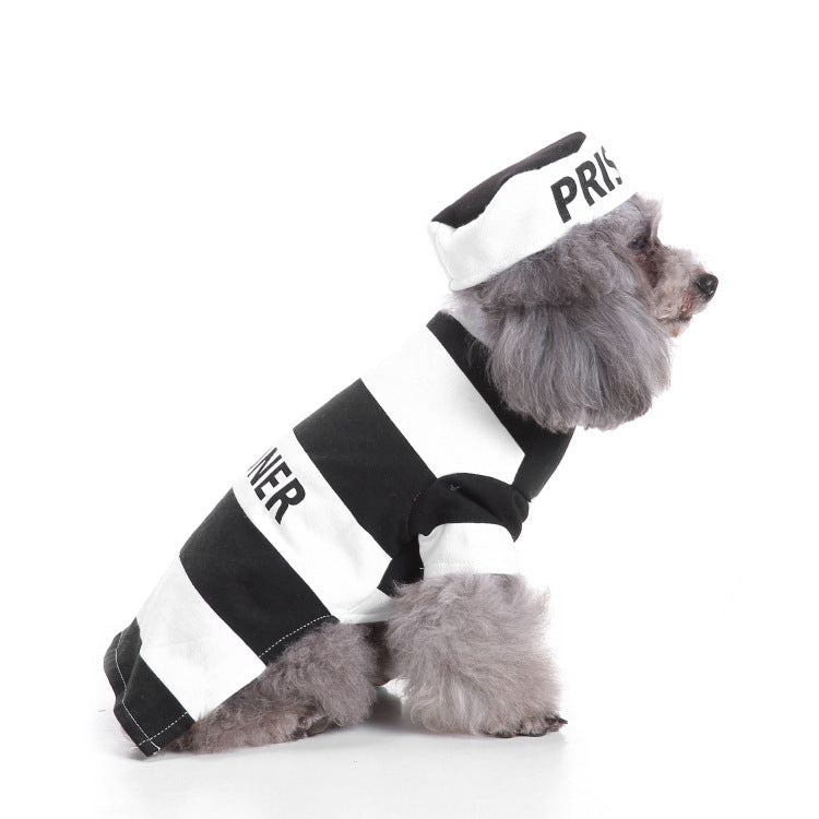 Dog Halloween costume party