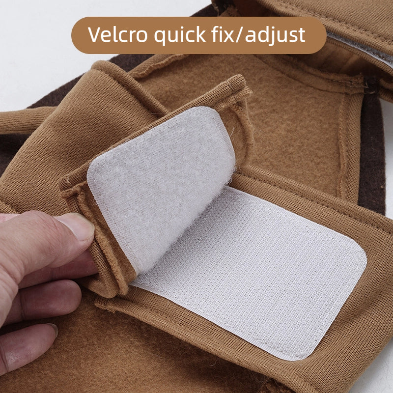 Pet transformation costume Halloween funny dog cockroach