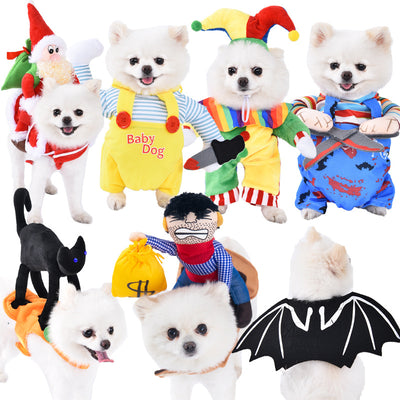 Transform your pet dog into a pet dog Halloween clothes