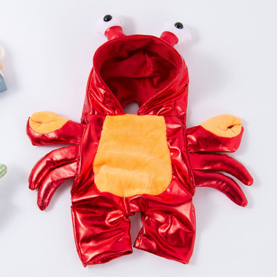 Transform your pet dog into a pet dog Halloween clothes