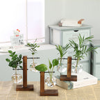 Transparent glass bottle vase with wooden frame, minimalist design for home decor and shelf styling by Cavira.
