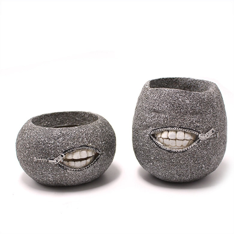Set of two Cavira succulent-shaped resin planters with cactus and fleshy plant designs, ideal for indoor tabletop or desk décor.