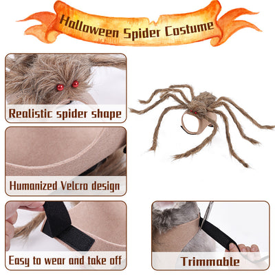 Halloween pet clothes spider transforms into dog clothes