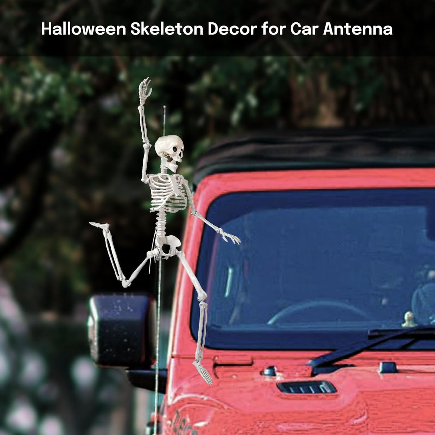 16" Small Skeleton Halloween Decor Full Body 2 Pack - Plastic Mini Skeleton Halloween Poseable Hanging Decorative - Cute Posable Joints Little Skeletons Indoor Table Decoration
