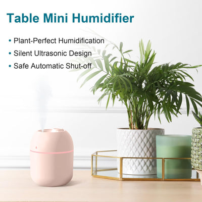 Portable Mini Humidifier 220ml Small Cool Mist Humidifier USB Personal Desktop Humidifier For Bedroom Travel Office Home - GG store