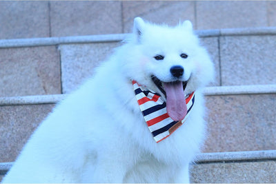 Festive 4th of July Reversible Dog Bandanas - 2 Pack of Patriotic American Flag Scarves for Small & Medium Dogs, Durable & Stylish!
