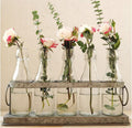 Rustic Glass Bud Vase Set – Farmhouse Wedding & Hydroponic Plant Display Vases (Set of 5) Default Title