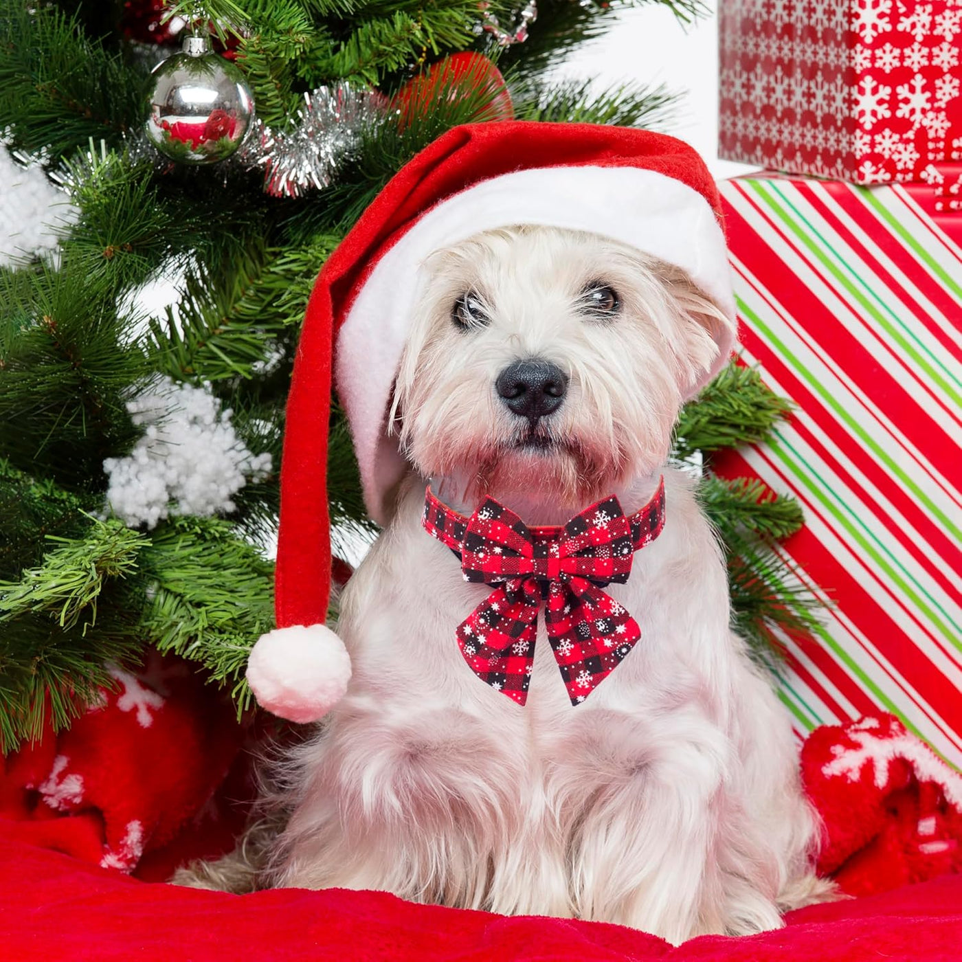 Festive 2-Pack Christmas Dog Collars with Removable Bow Ties - Classic Plaid Red & Green for Small Pets