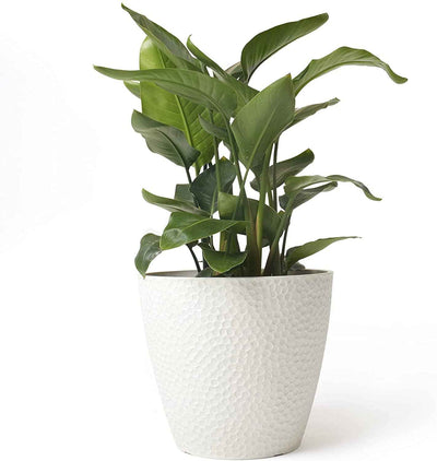 Outdoor Indoor Tree Planters,14 Inch Large Planter Flower Pots,Modern Decorative White Planter Pot for House Plants,Honeycomb - GG store