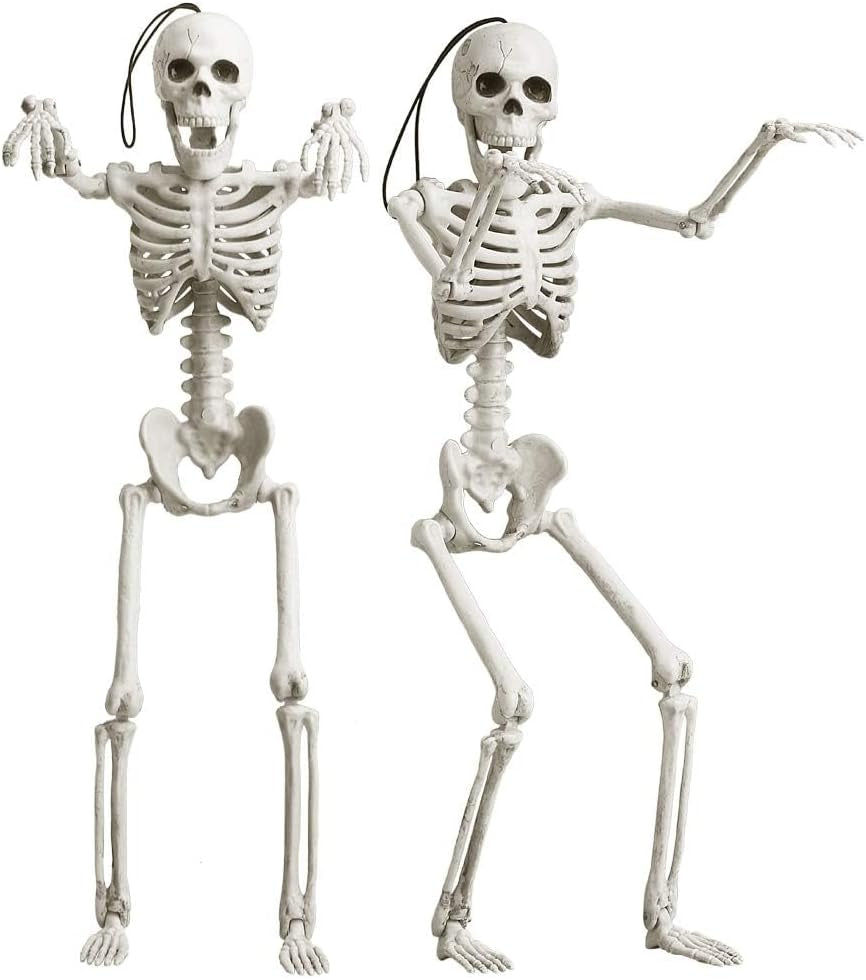 16" Small Skeleton Halloween Decor Full Body 2 Pack - Plastic Mini Skeleton Halloween Poseable Hanging Decorative - Cute Posable Joints Little Skeletons Indoor Table Decoration